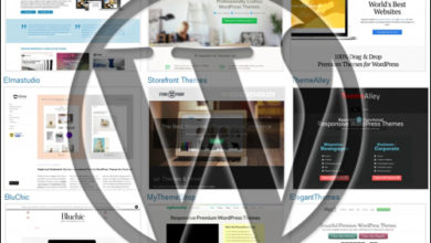 Photo of How to choose the Best WordPress Themes for Your Website